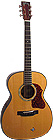 Michael Lewis Guitar