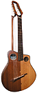 Fleishman Instruments Harp Guitar