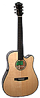 Acoustic steel string guitar