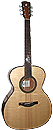 Acoustic Guitar
