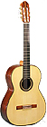 Acoustic Guitars